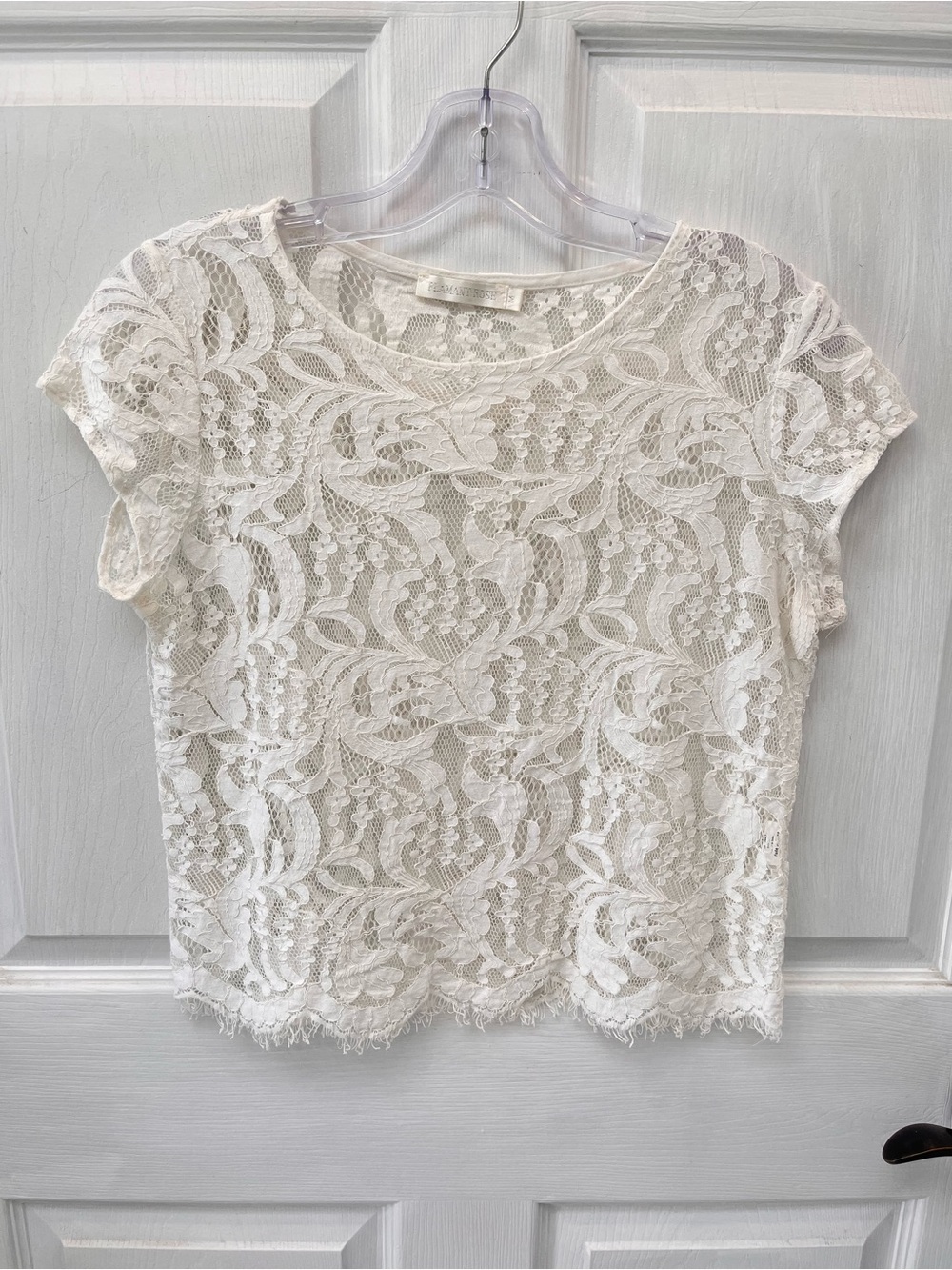 Flamant Rose Lace Crop Top Medium Sheer Scalloped Hem Cap Sleeve Coquette Boxy